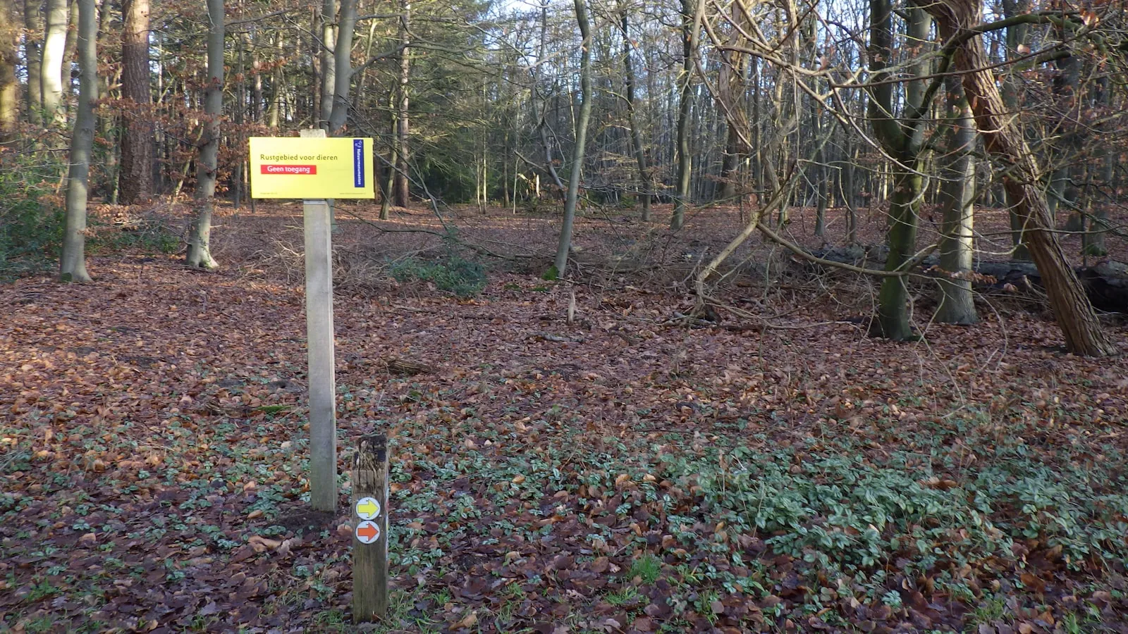 Noodstroom camping Utrecht: eisen & kosten 2026